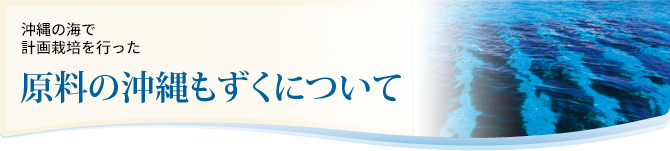 沖縄 伊平屋島などの生産者が計画栽培した　原料の沖縄もずくについて